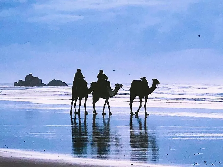 Oceanfront Luxury 2-Bed Apartment 360 Sea Views Essaouira
